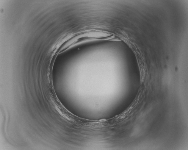 X0000053010050200507291718