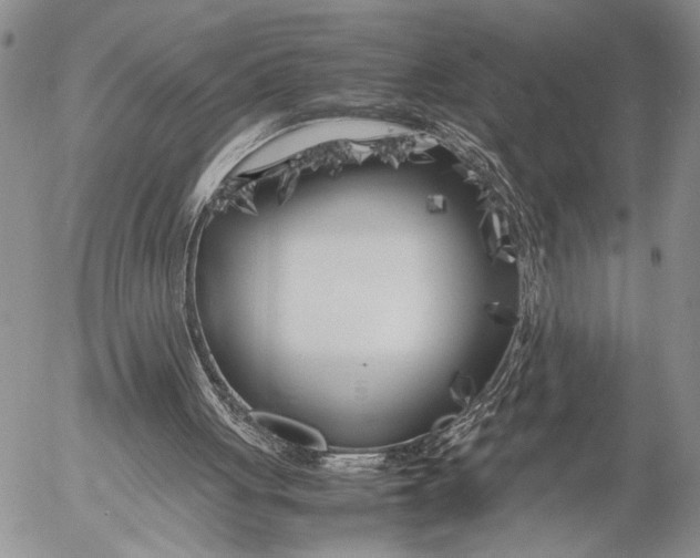 X0000053010051200507291718