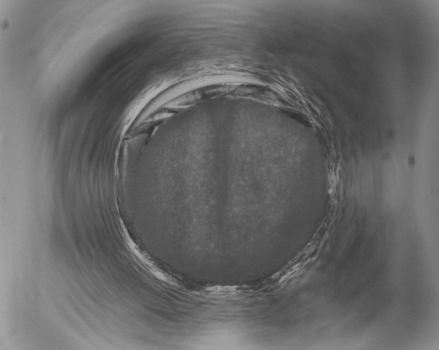 X0000053010052200507291718