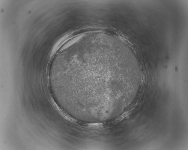 X0000053010053200507291718