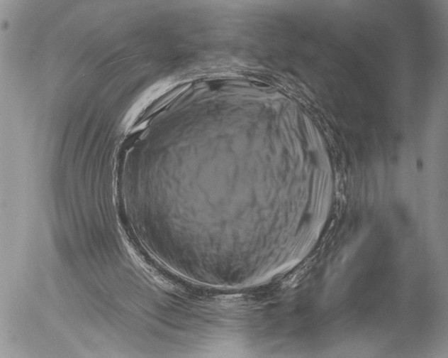 X0000053010054200507291718