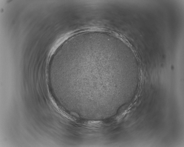 X0000053010055200507291718