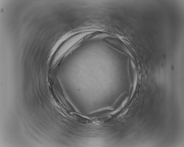 X0000053010056200507291718