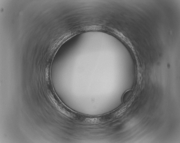 X0000053010057200507291718