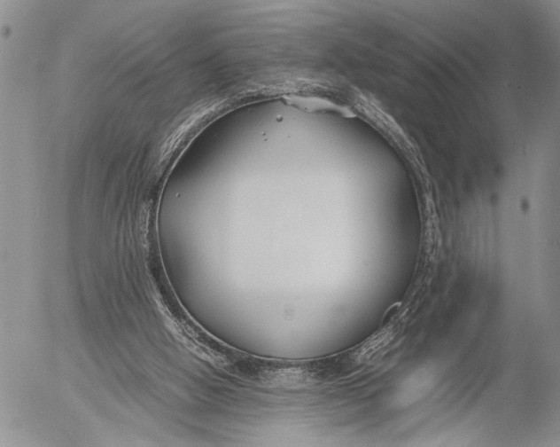 X0000053010058200507291718