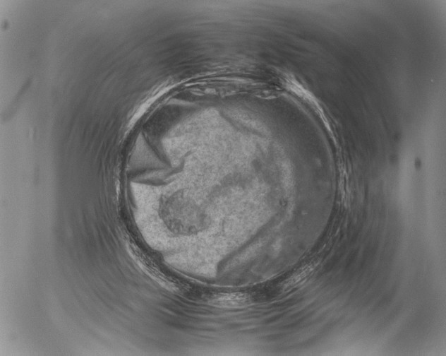 X0000053010059200507291718