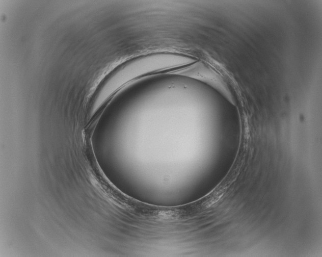 X0000053010060200507291718