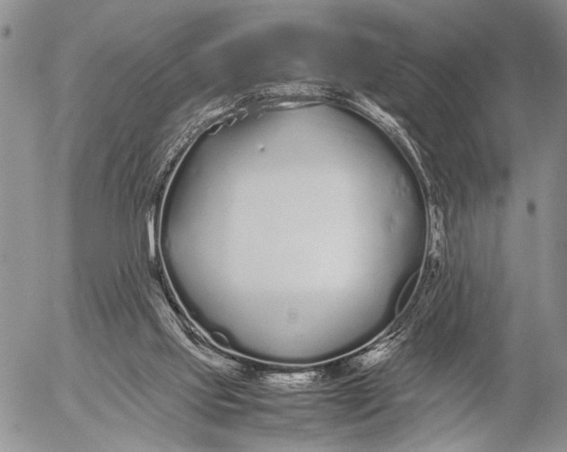 X0000053010061200507291718