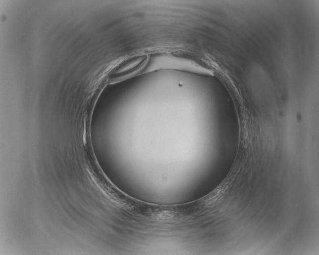 X0000053010062200507291718