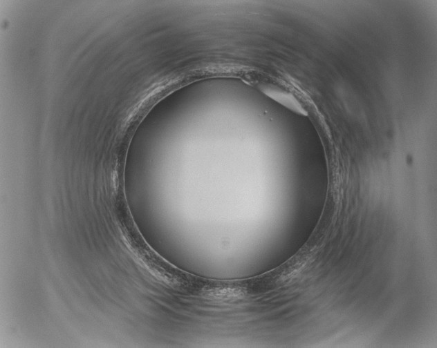 X0000053010063200507291718