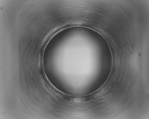 X0000053010064200507291718