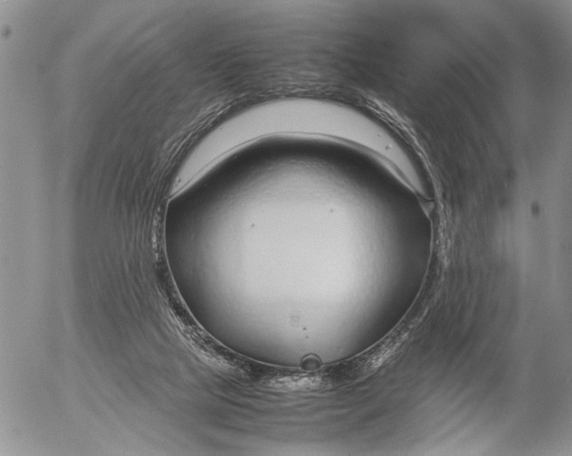 X0000053010065200507291718