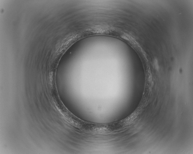 X0000053010066200507291718