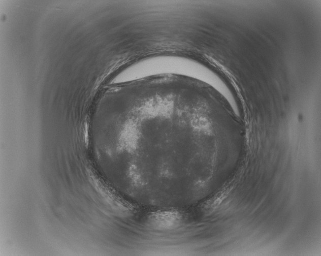 X0000053010067200507291718