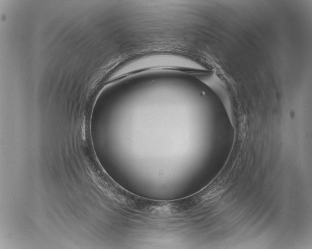 X0000053010068200507291718