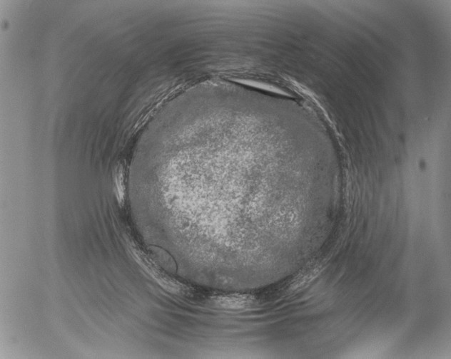 X0000053010069200507291718