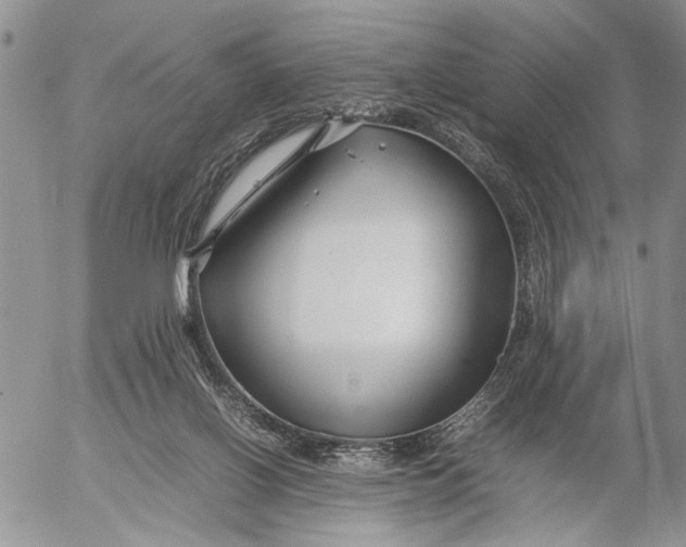 X0000053010070200507291718