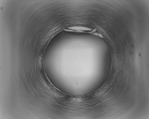 X0000053010071200507291718