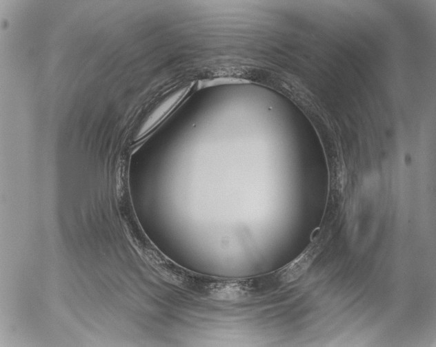 X0000053010074200507291718