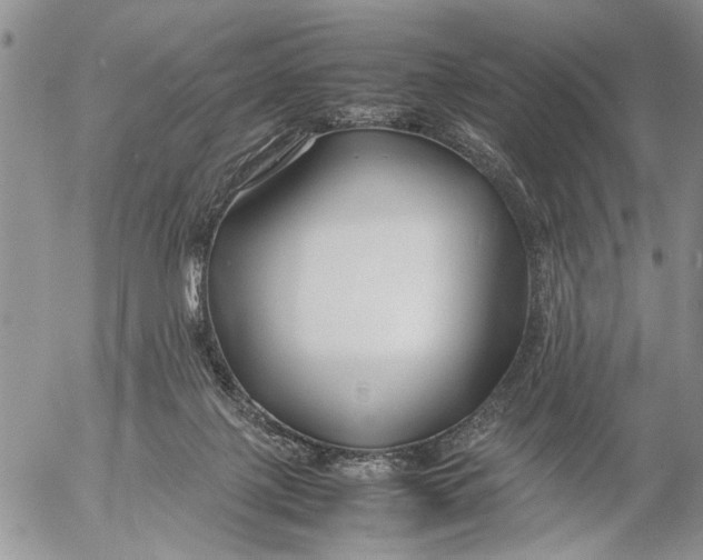 X0000053010075200507291718