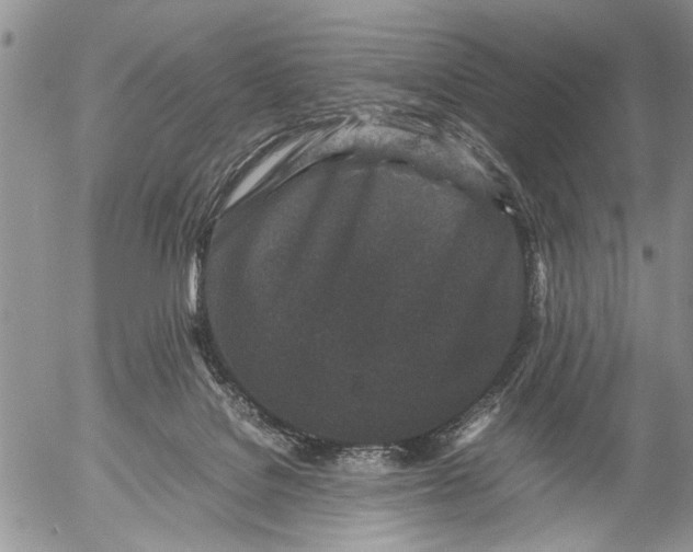 X0000053010076200507291718