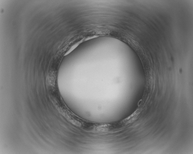 X0000053010078200507291718