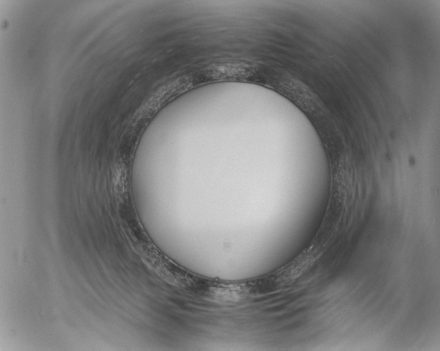 X0000053010079200507291718