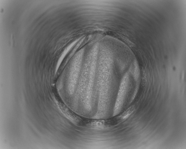 X0000053010080200507291718