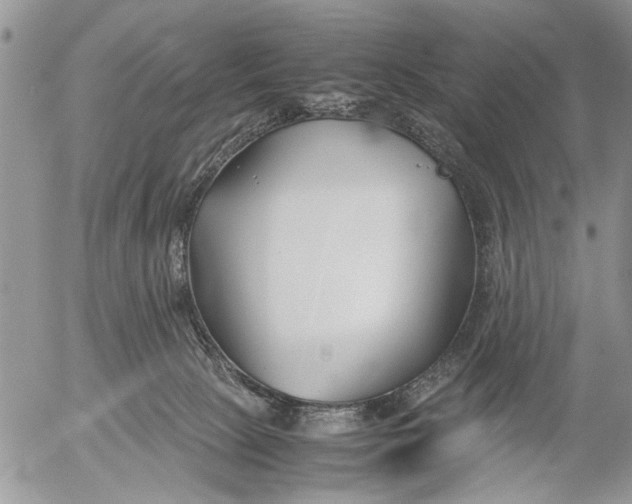 X0000053010081200507291718