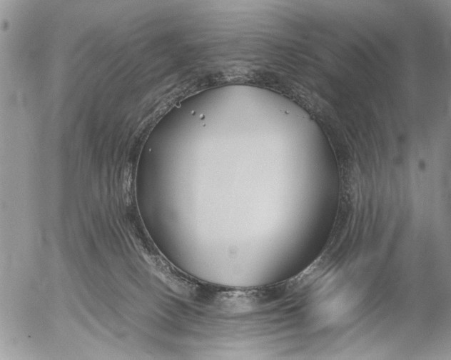 X0000053010082200507291718