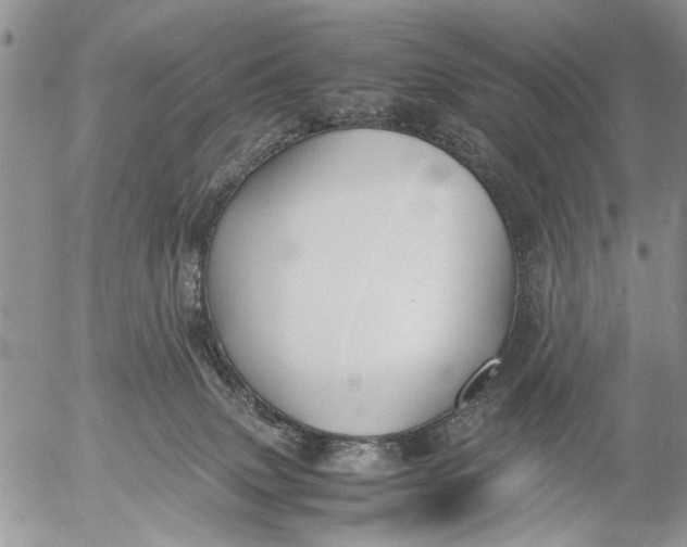 X0000053010083200507291719