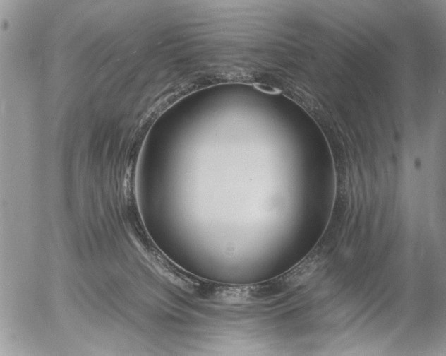 X0000053010084200507291719