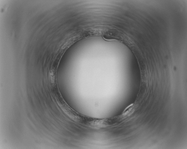 X0000053010086200507291719