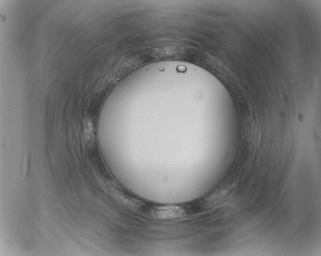 X0000053010087200507291719