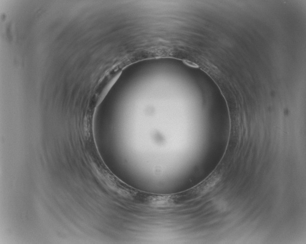 X0000053010088200507291719