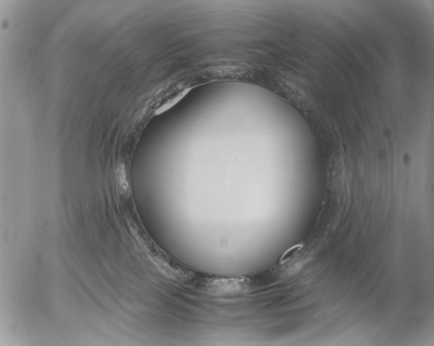 X0000053010089200507291719