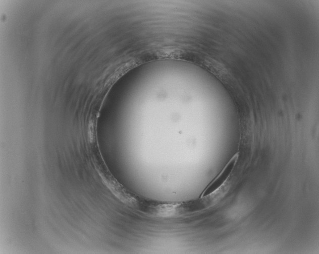 X0000053010090200507291719