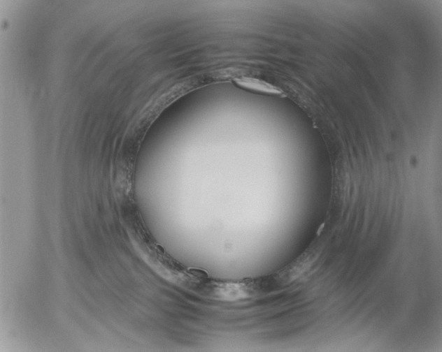 X0000053010091200507291719