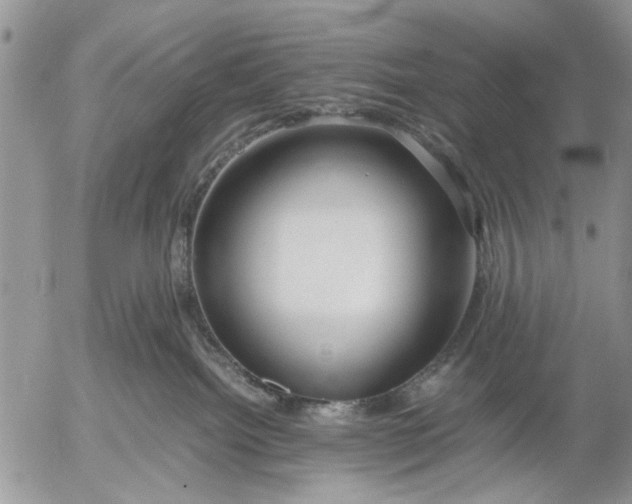 X0000053010092200507291719