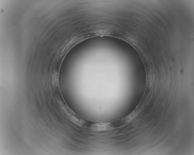 X0000053010093200507291719