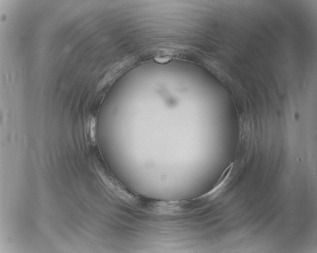 X0000053010094200507291719