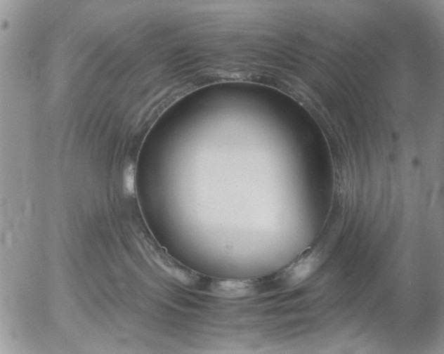 X0000053010095200507291719