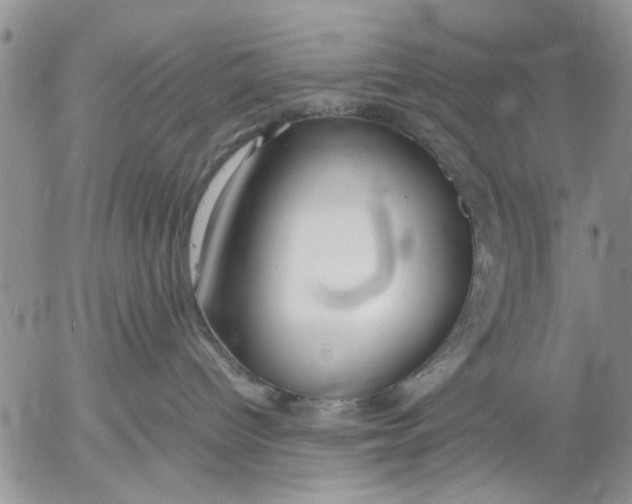 X0000053010096200507291719