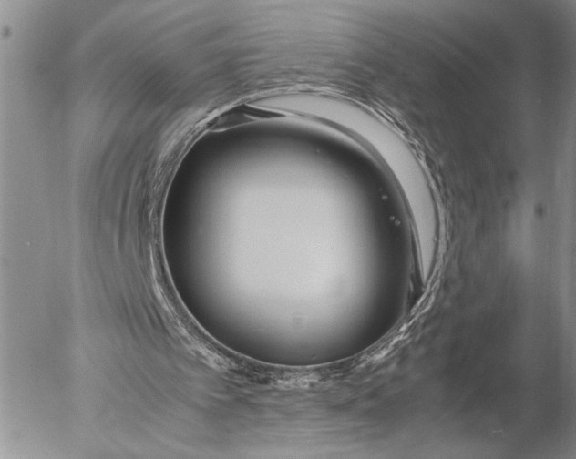 X0000053010097200507291718