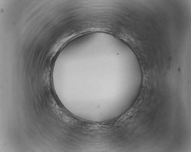 X0000053010098200507291718