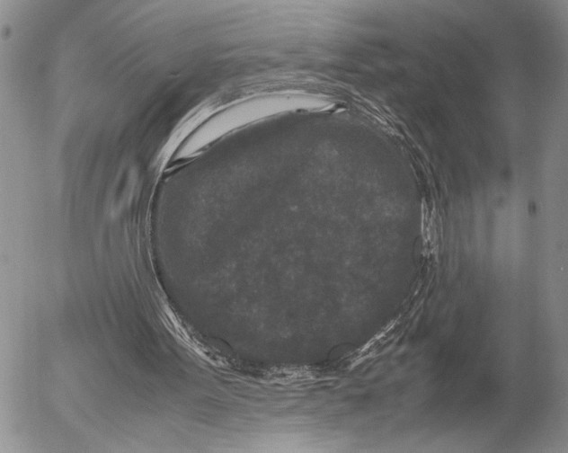 X0000053010099200507291718