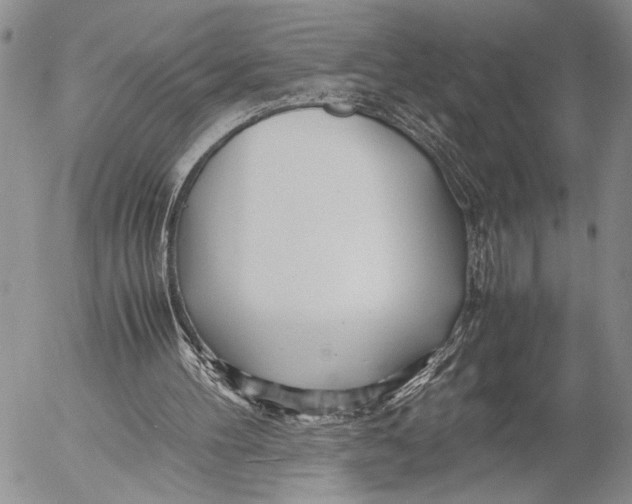 X0000053010100200507291718