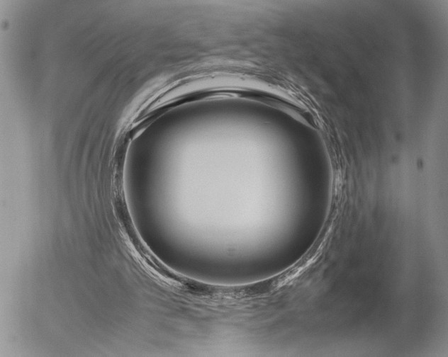 X0000053010101200507291718