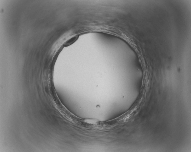 X0000053010103200507291718