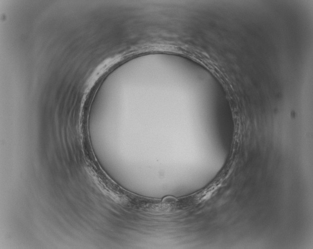 X0000053010104200507291718